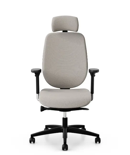 Siège ergonomique Giroflex, design moderne, soutien lombaire ajustable et assise confortable, idéal pour les espaces de travail professionnels